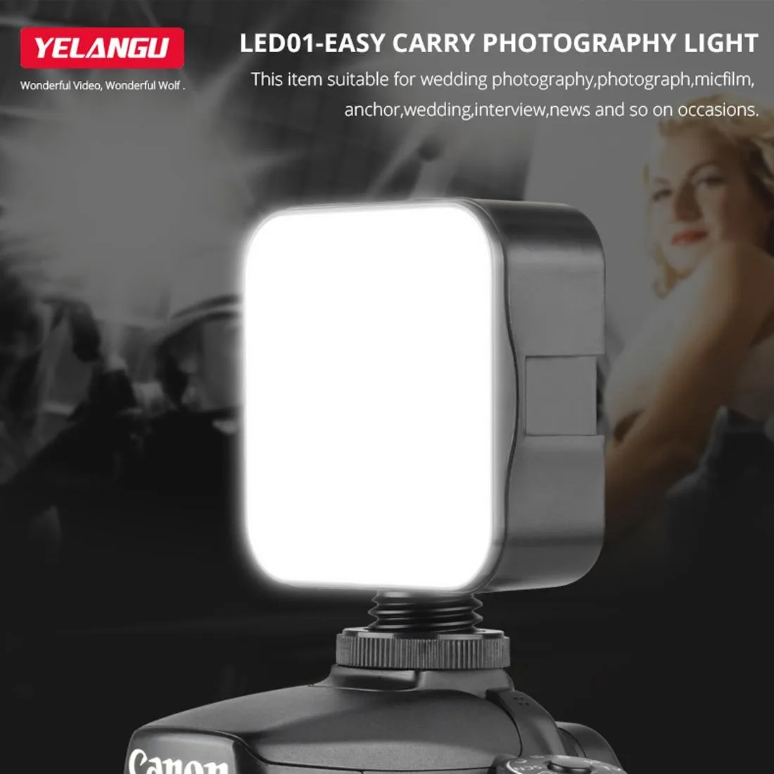 49 Led Video Light For Camera / Camcorder - Black