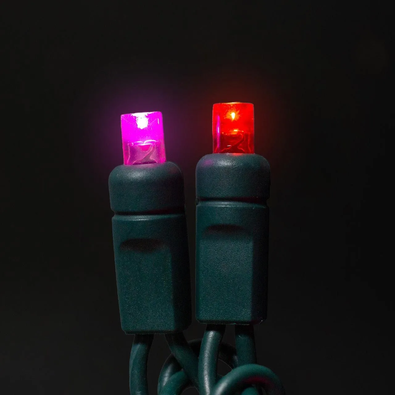 5mm Light Set 70ct Balled-4" Spacing (GW)