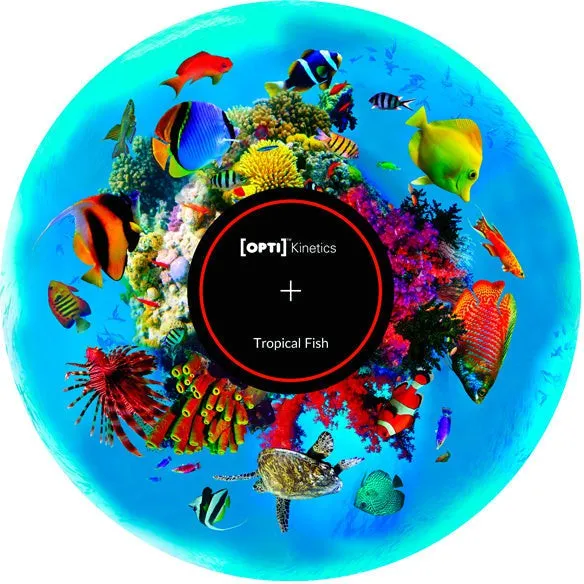 Aura and Solar Projector - 6 Inch Magnetic Picture Wheel