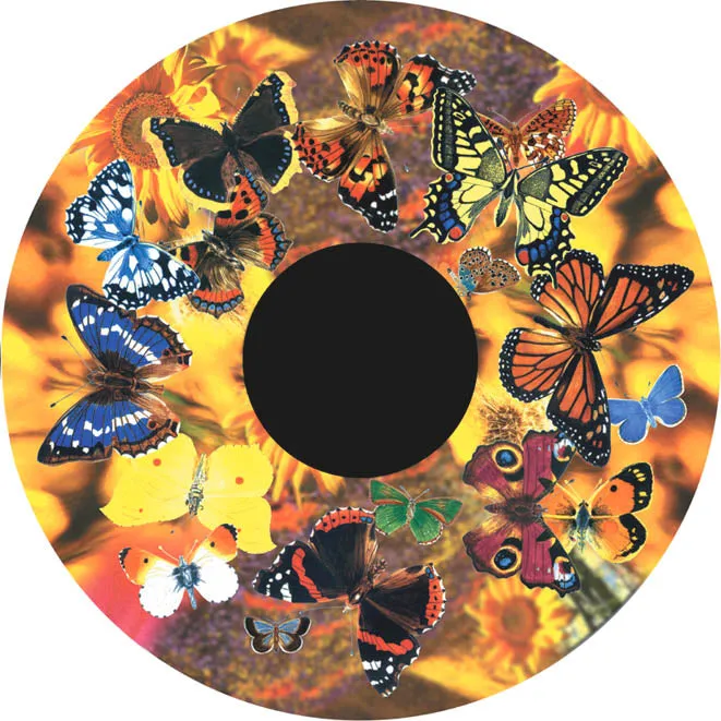 Aura and Solar Projector - 6 Inch Magnetic Picture Wheel