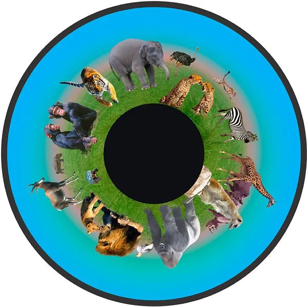 Aura and Solar Projector - 6 Inch Magnetic Picture Wheel