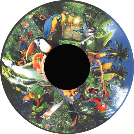 Aura and Solar Projector - 6 Inch Magnetic Picture Wheel