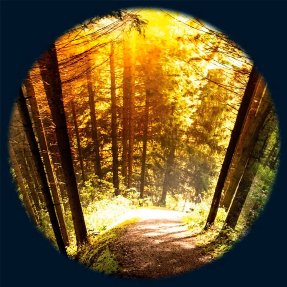 Aura and Solar Projector - 6 Inch Magnetic Picture Wheel