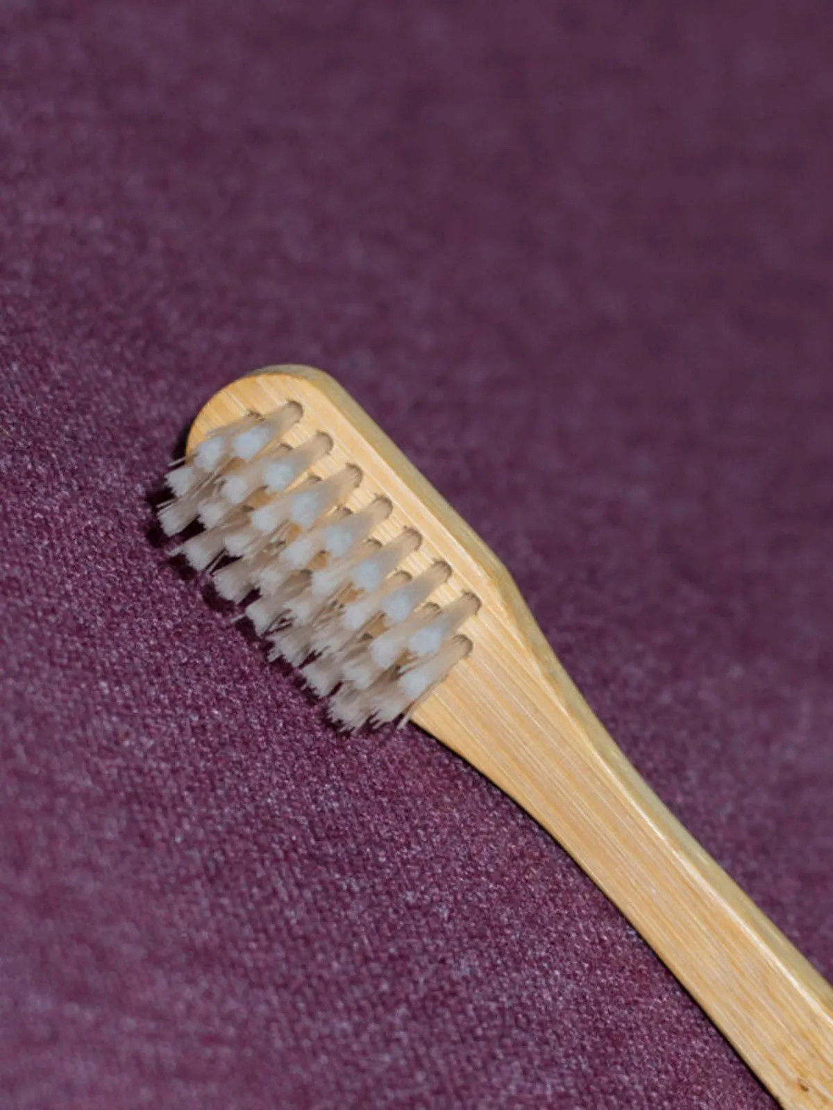Bio Based Bamboo Tooth Brush Pack of 2