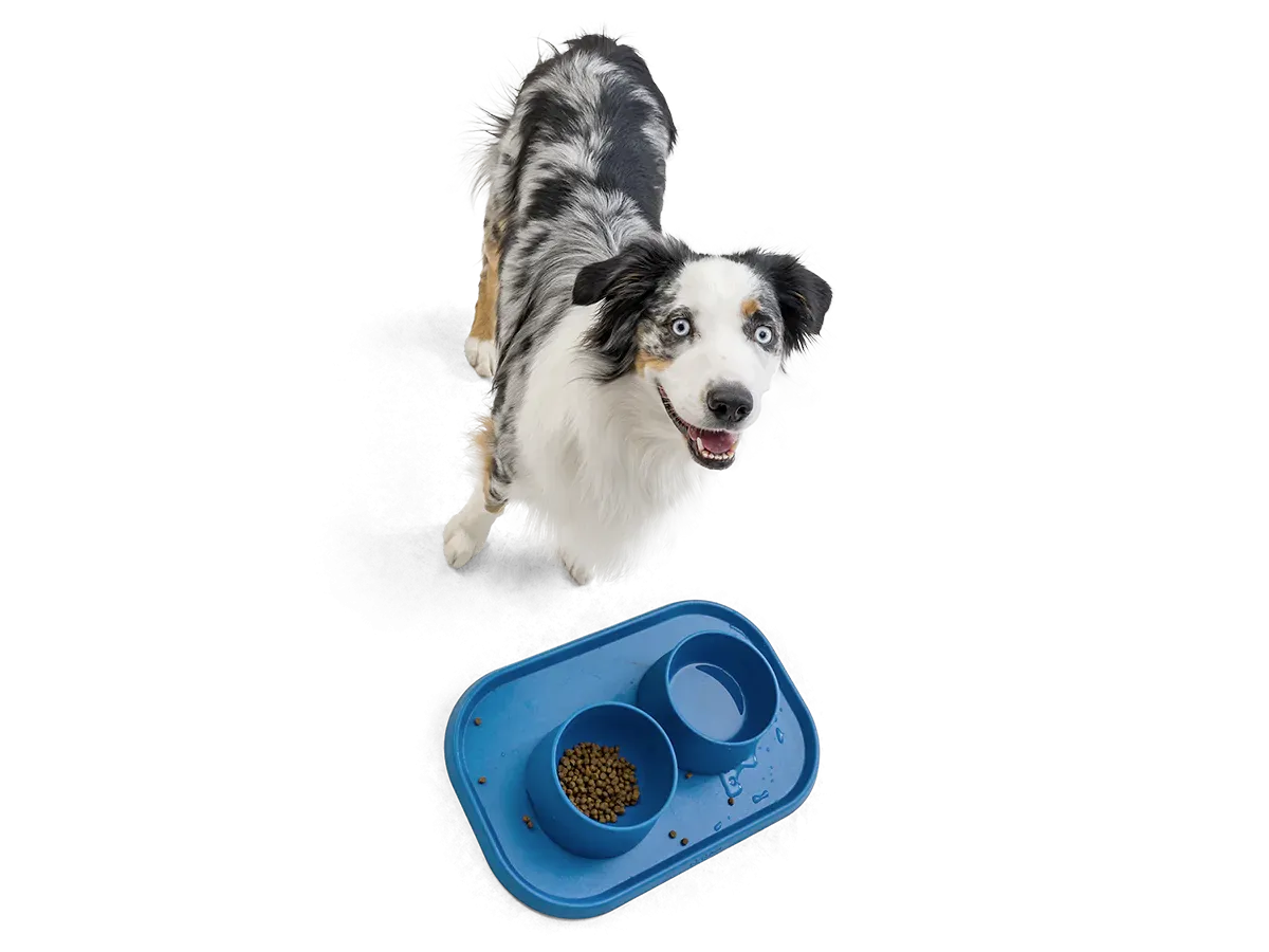 Dog Food and Drink Non-slip Eco Sustainable Bowl: Seaflex Marine