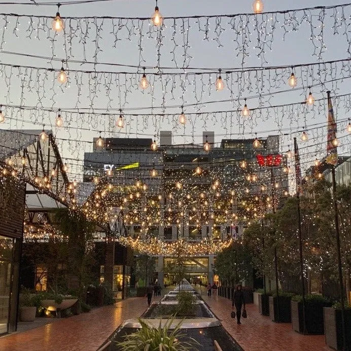 G80 Clear Bulb | 10m 20 Bulbs | Drop Hang Dimmable Festoon Lights