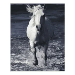 Journey Through Water 42x51 - Framed Giclee