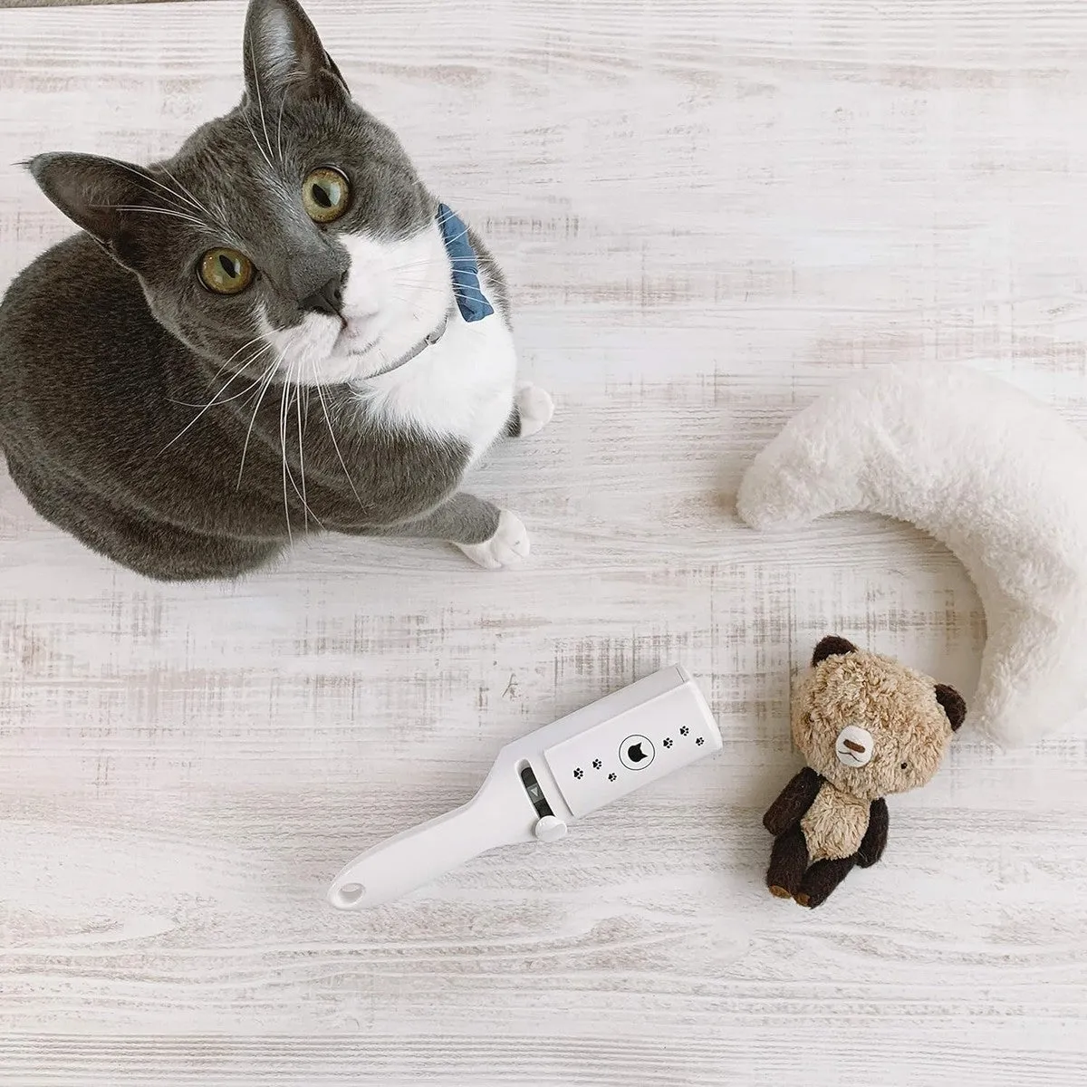 Necoichi Purrfection Neat & Easy Feline Hair Remover