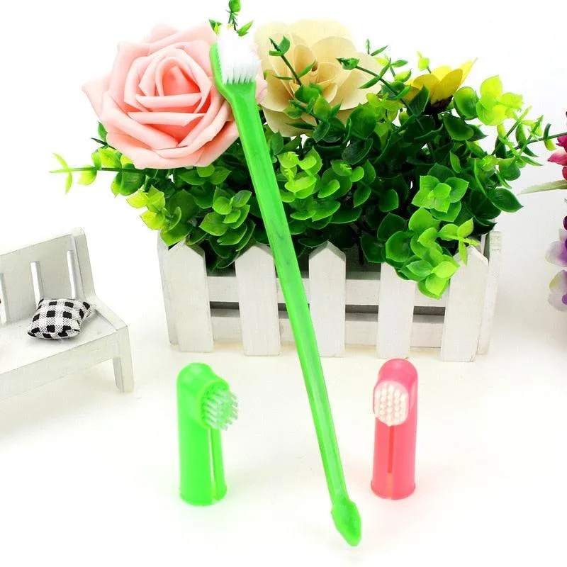 Pet Toothbrush Set