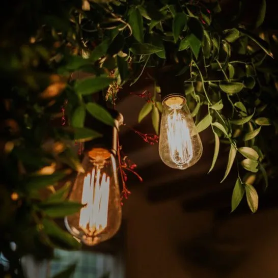 ST58 Amber Bulb | 10m 20 Bulbs | Drop Hang Dimmable Festoon Lights