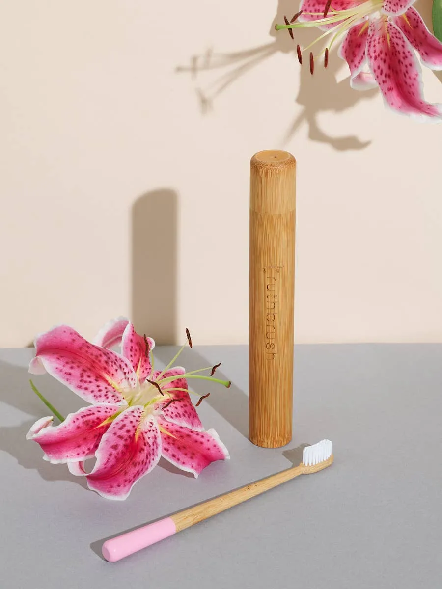 Truthbrush Bamboo Toothbrush Travel Case